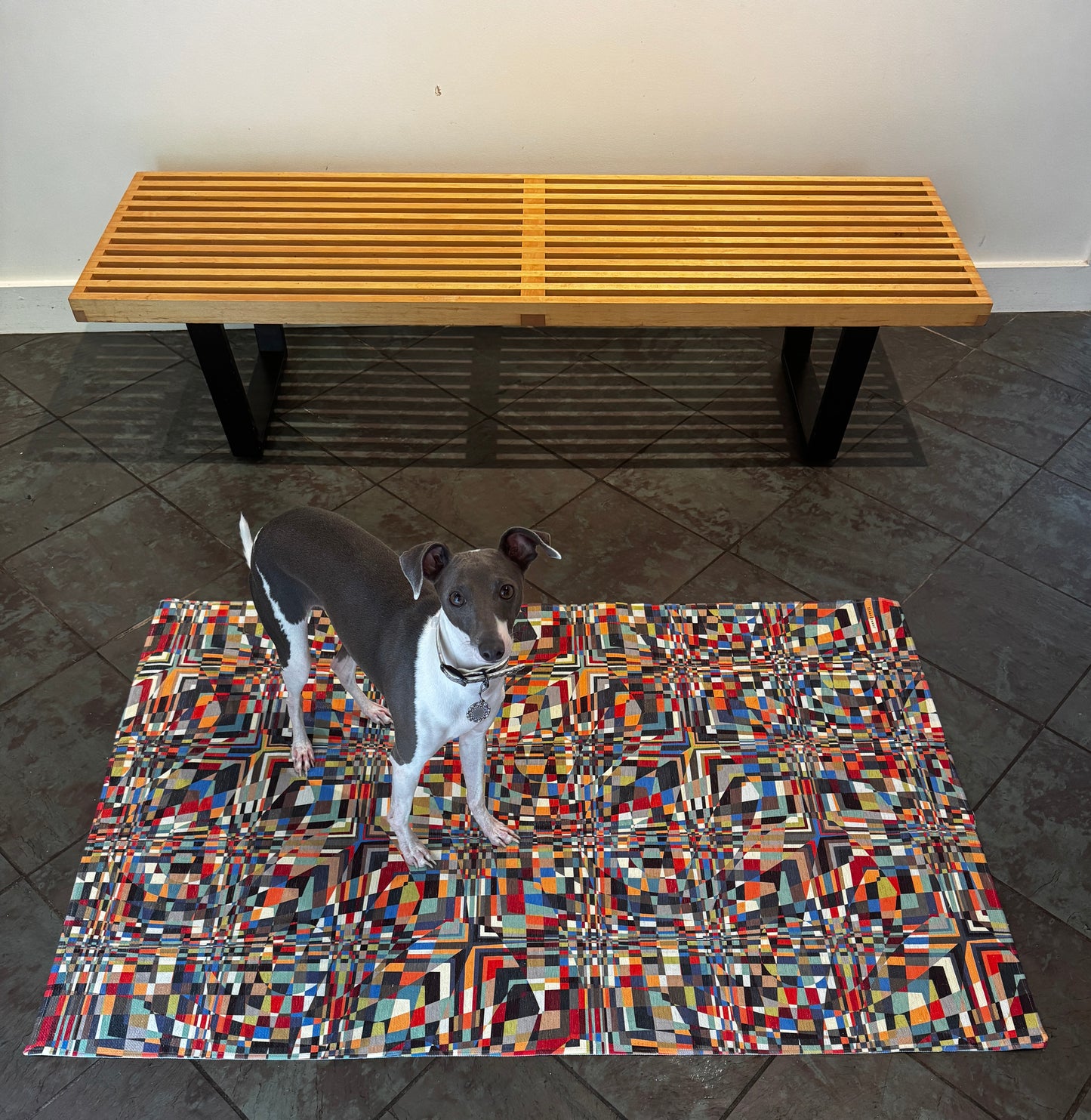 Washable Rug "QUAD" col. Varicolor